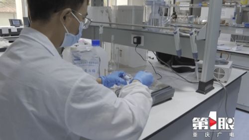 郑州软件开发实验室创新研发 巴适精品绿色毛肚，引领健康美食新潮流